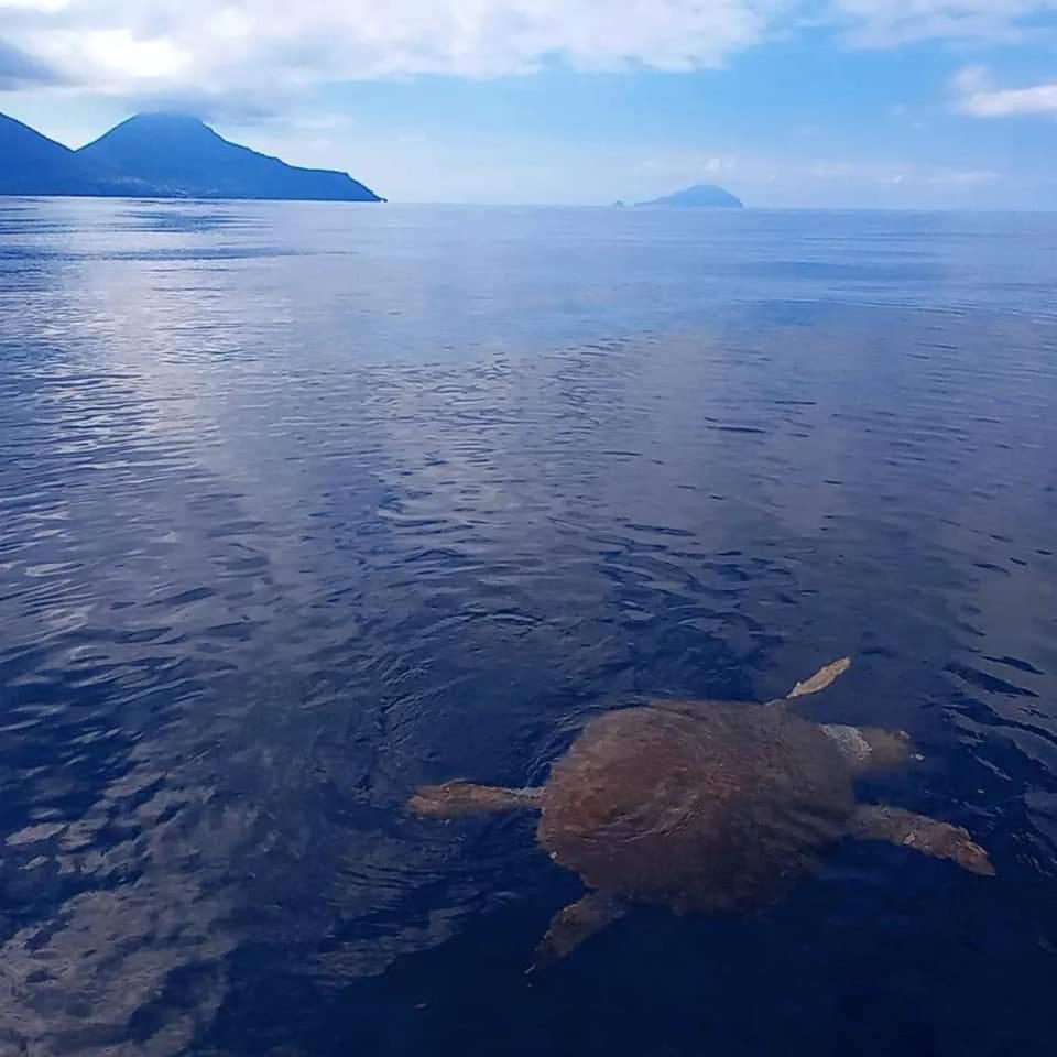 "Appartamento Del Mare Gliaca" Con Vista Isole Eolie,Ampia Terrazza,Wifi E Parcheggio Privato Gratuito 皮拉伊诺 外观 照片